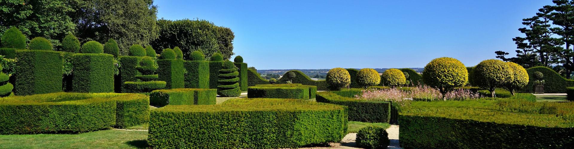 The Art and Beauty of Topiary