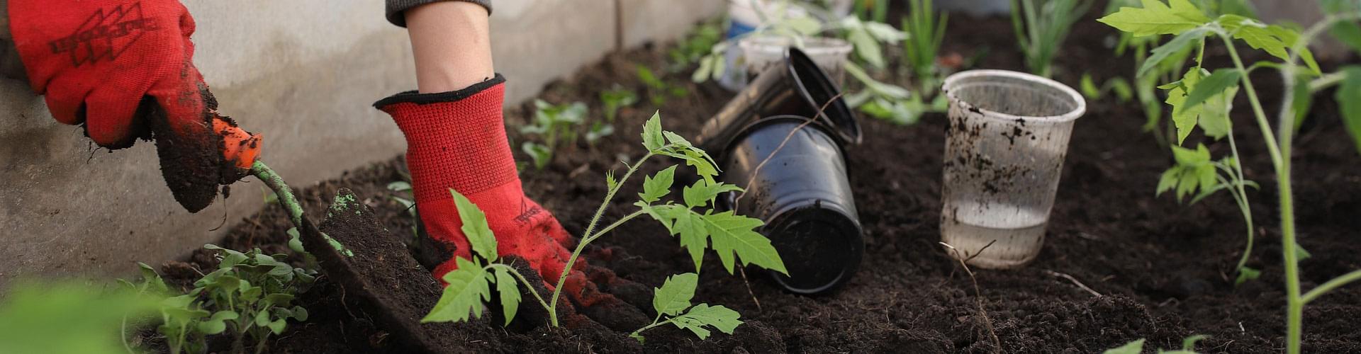 The Ultimate Guide to Gardening in the UK