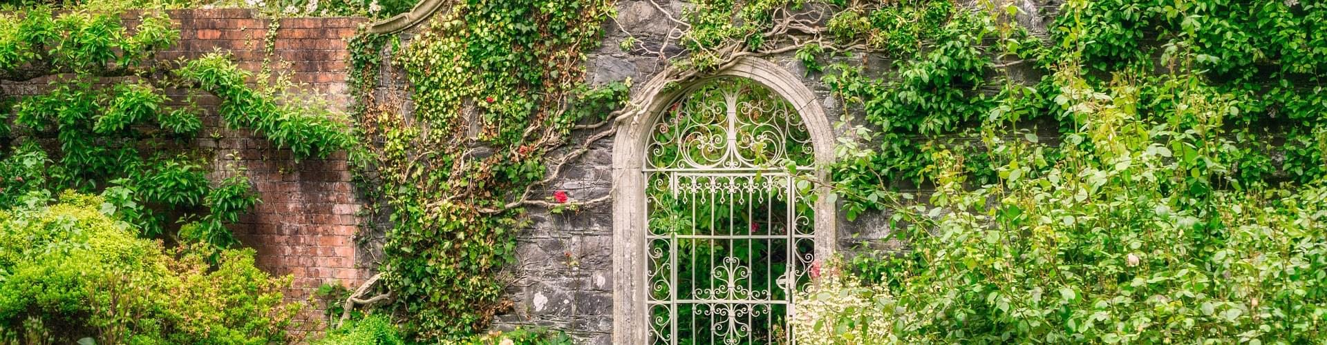 Garden gate styles, Stunning entrance ideas, Outdoor space design, Classic vs. modern gates
