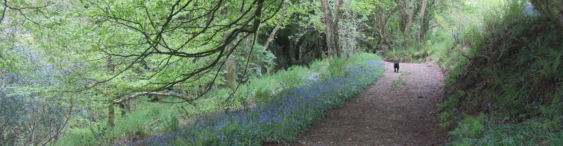 Historic royal walking trails, Royal heritage sites UK, Walks on historic trails, Exploring royal history on foot