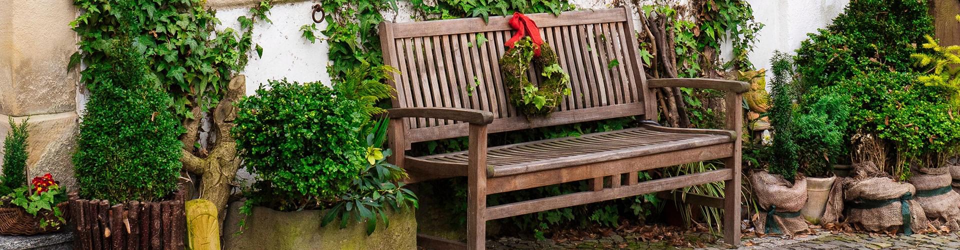 Timber garden bench designs, Best outdoor benches, Wooden bench placement, Garden furniture ideas