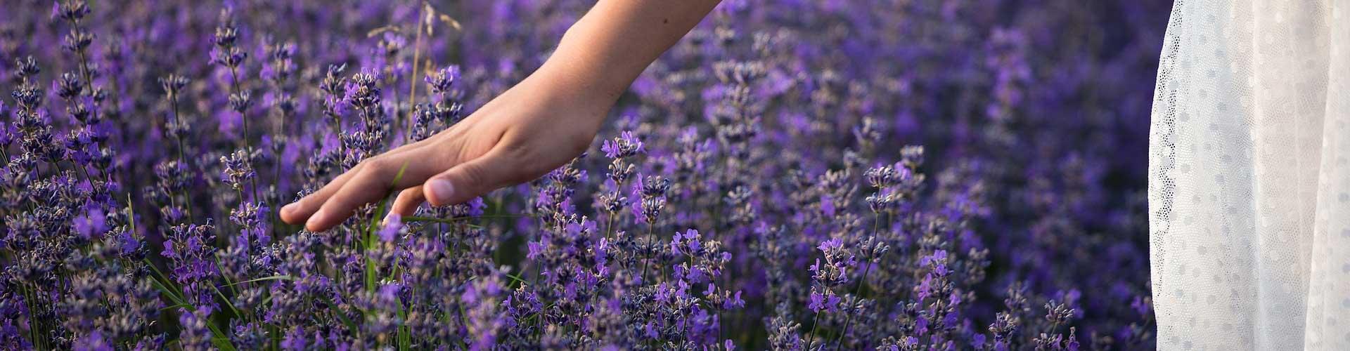 Therapeutic gardening projects, Health benefits of gardening, Creating a healing garden, Stress reduction through gardening