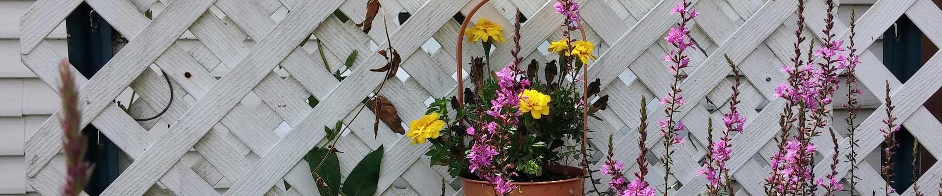 Timber garden screens, Privacy trellis ideas, Installing timber trellises, Garden privacy solutions