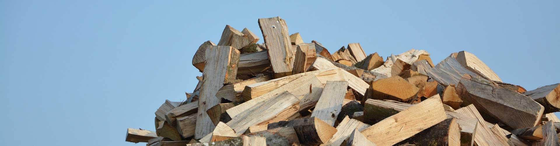 UK Timber Species for Firewood and Their Characteristics