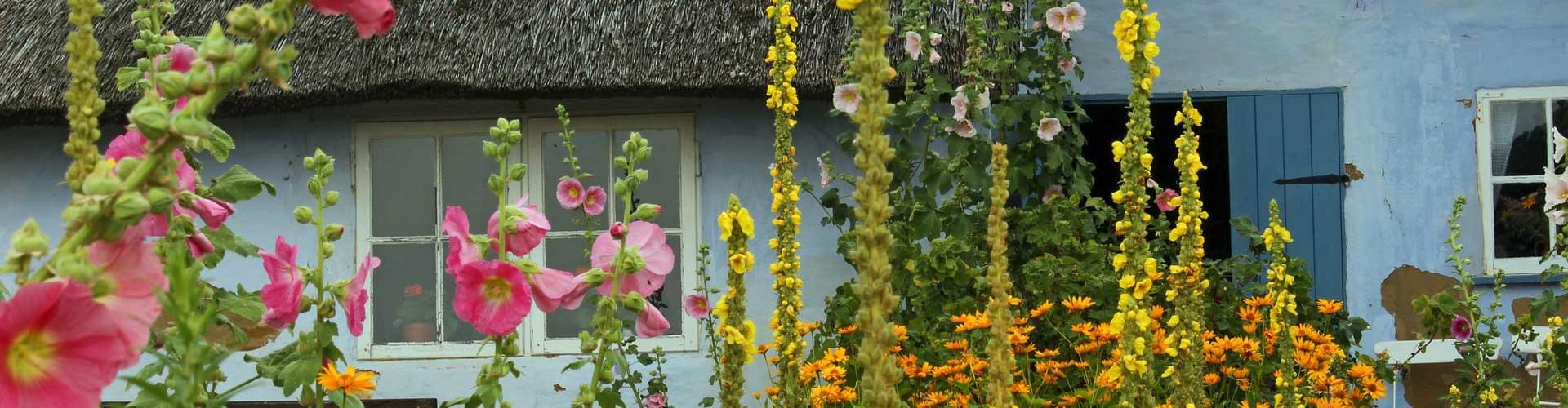 Cottage Gardens: Embrace the Quintessential English Charm