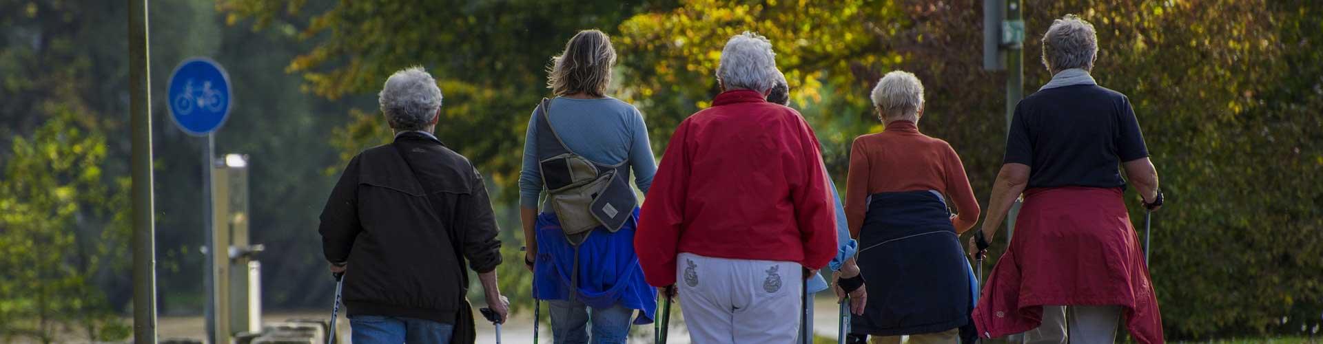 Guided Nature Walks: Discover the UK’s Wildlife with Naturalists