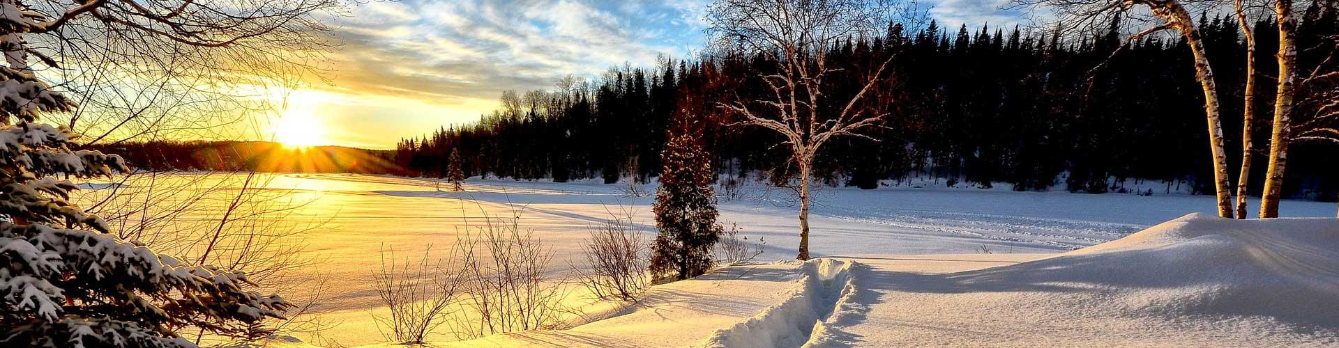 Winter Wonderland: Discover the UK's Best Snowy Adventures