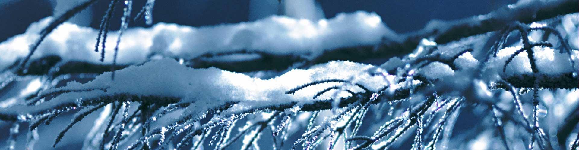 Winter Wonderland: Discover Snowy Adventures Across the UK