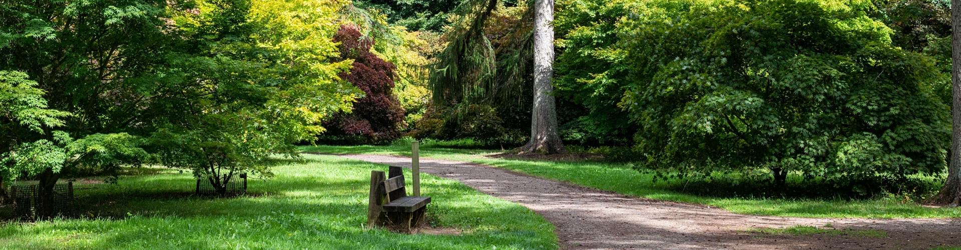 UK arboretums to visit, Best timber arboretums UK, Woodland conservation UK, Rare trees in the UK