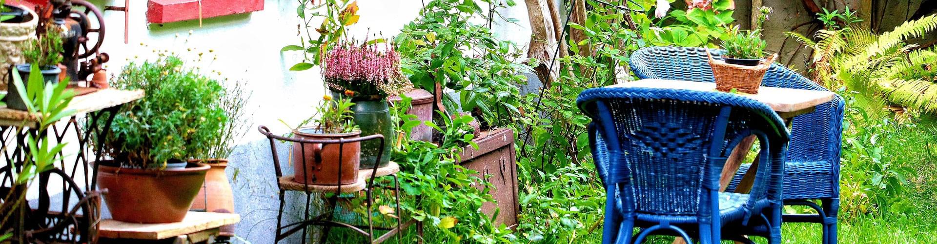 Restore timber garden furniture, Wooden furniture care, Outdoor wood maintenance, Garden furniture refinishing