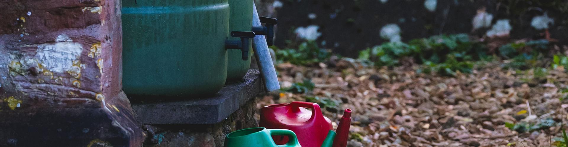 water-wise gardening, conserve water in garden, drought-tolerant landscaping, low water garden projects