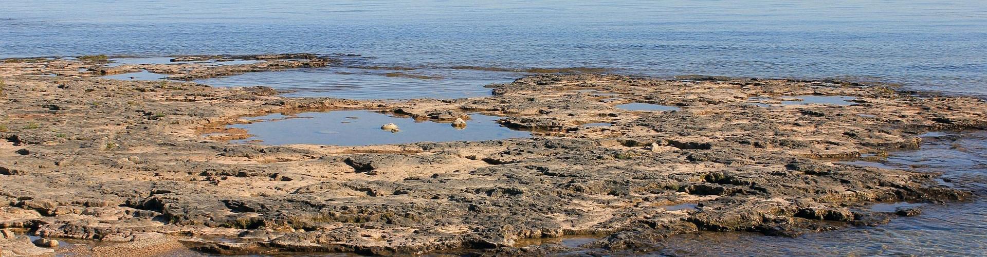 UK tide pools, rocky shore wildlife, coastal adventures UK, marine life UK beaches