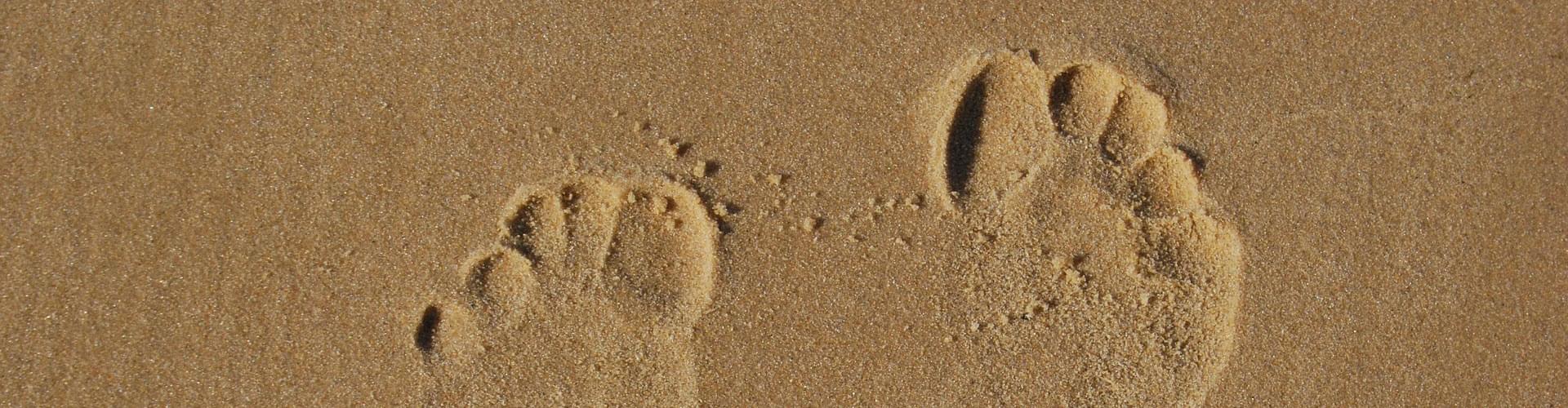 reduce carbon footprint UK, eco friendly lifestyle tips, low carbon living Britain, sustainable habits UK