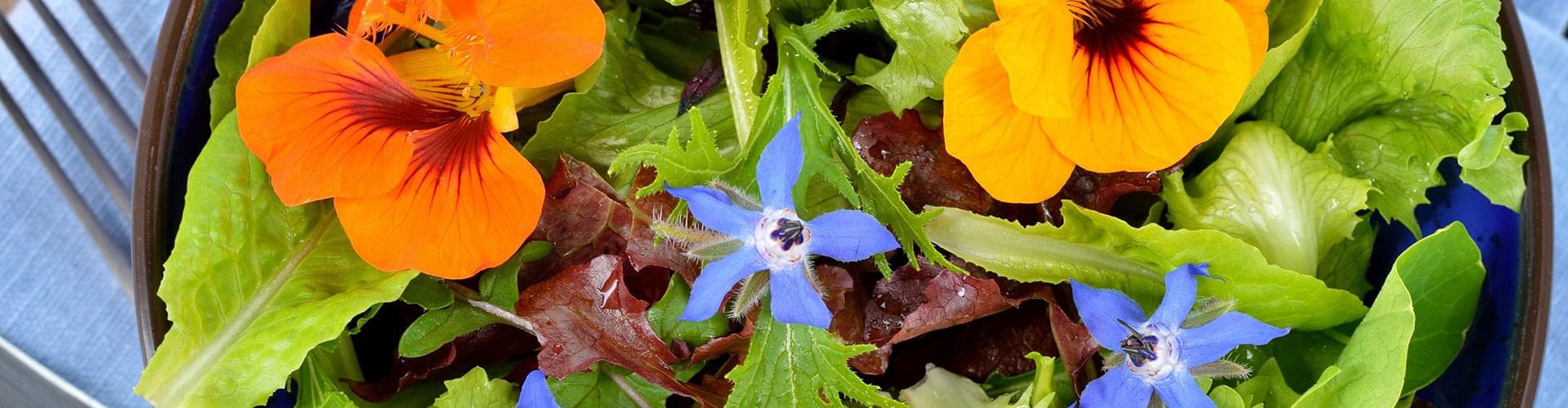 growing edible flowers, flowers you can eat, edible garden plants, cooking with flowers