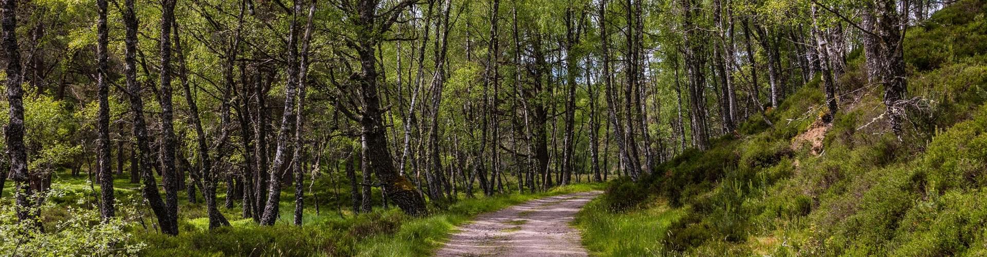 UK cycling routes, scenic bike rides UK, biking adventures Britain, UK coast to coast cycling
