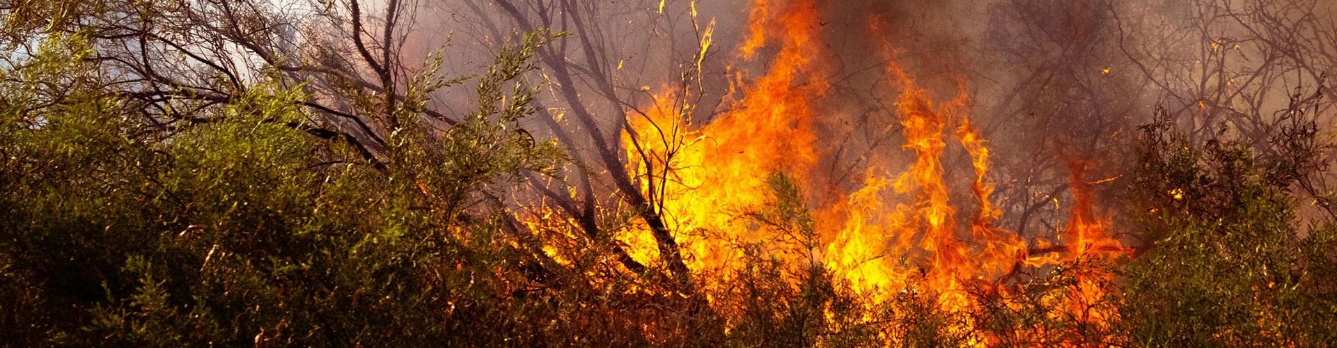 UK climate change, UK warming faster, climate crisis Britain, UK global warming