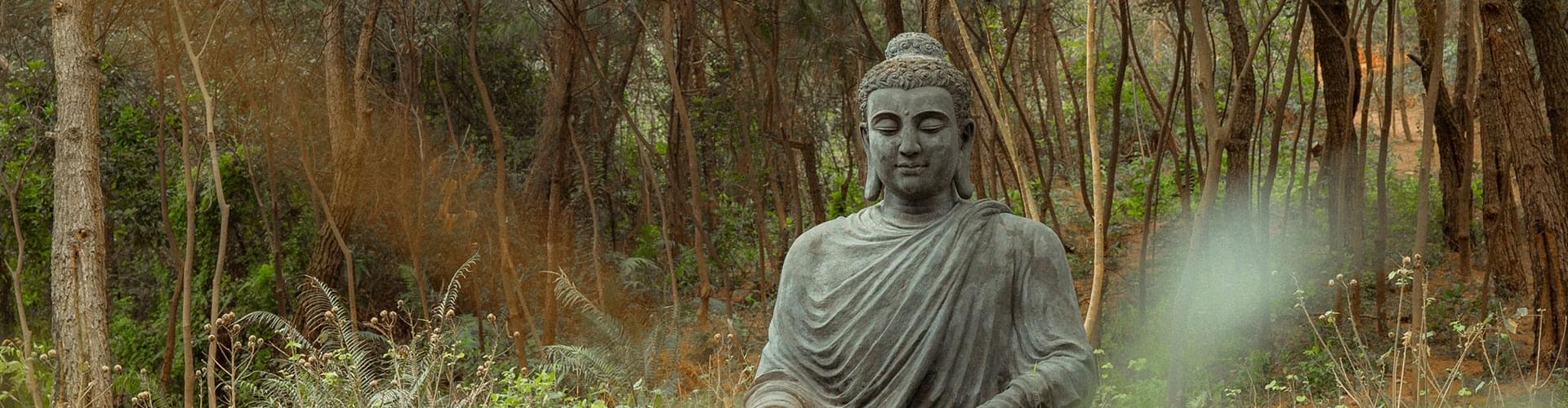 garden meditation retreat, outdoor mindfulness space, peaceful garden ideas, backyard serenity design