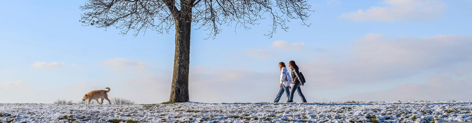 UK winter walks, Best frosty trails UK, Winter hiking in Britain, Scenic cold weather walks