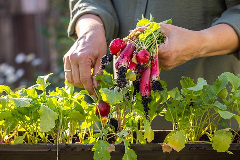 Meaker Services Knowledge Base