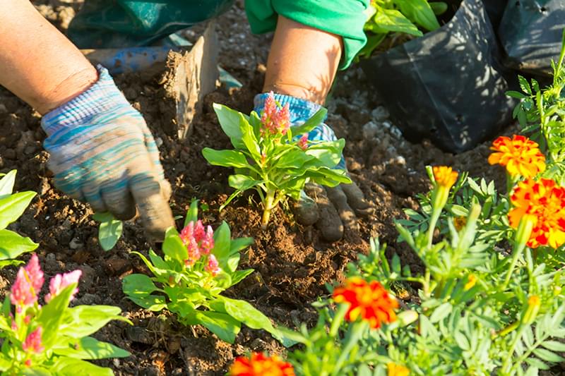 Meaker Services Knowledge Base