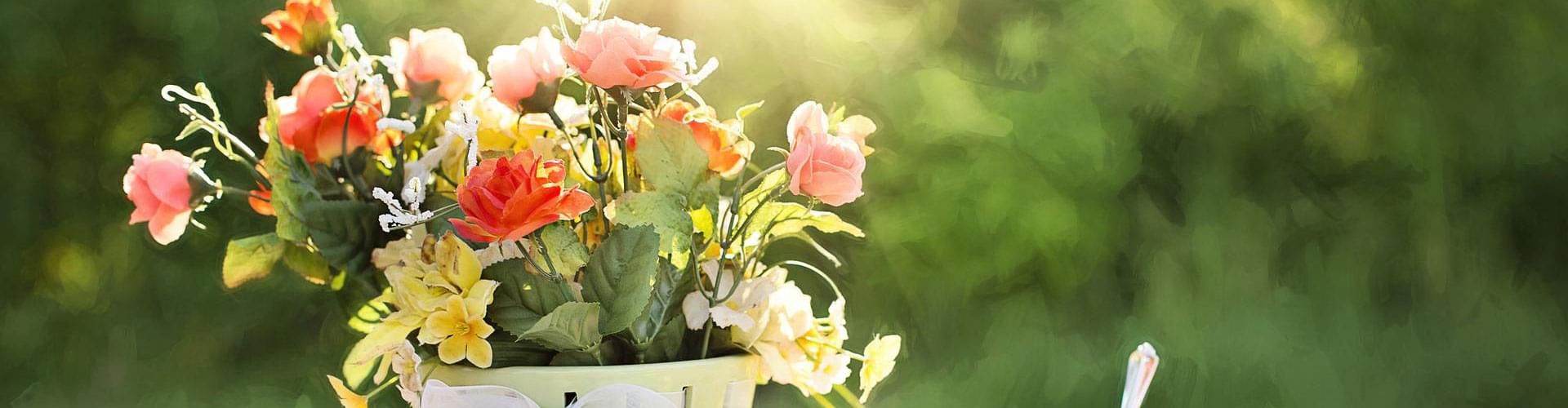 The best British summer flowers